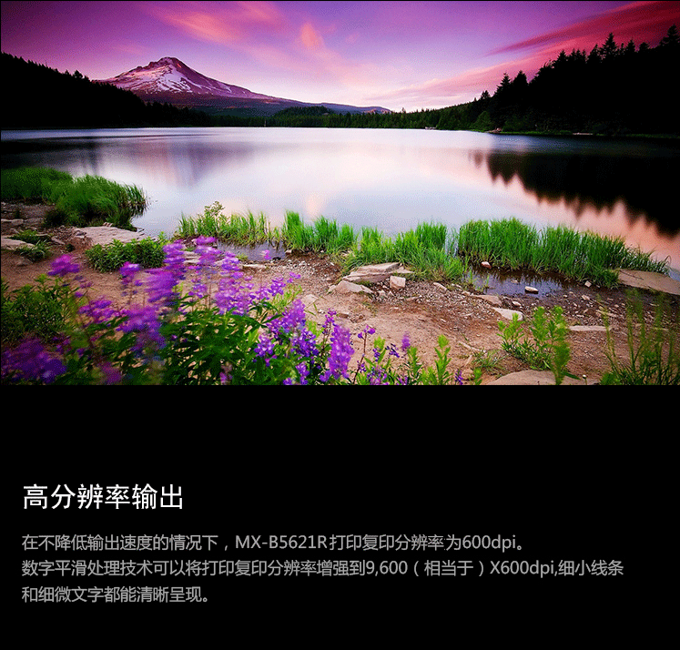 閔行區(qū)複印機(jī)出租